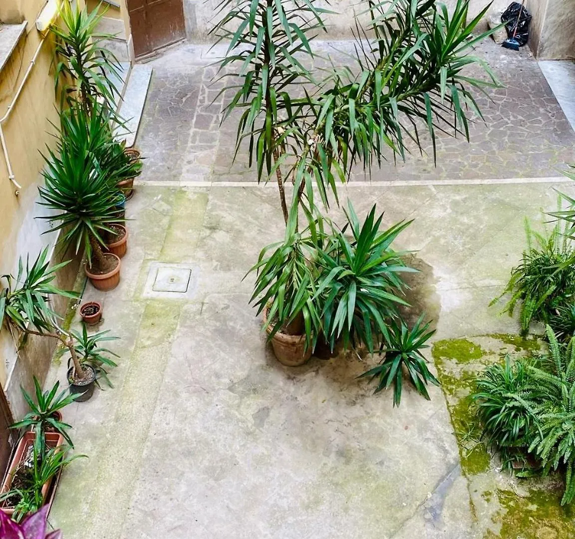 Kira Luxury Apartment With Terrace Rome Italy